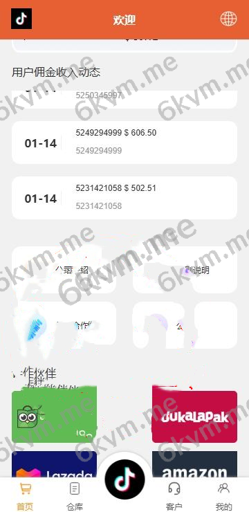 (推荐）海外tiktok多语言抢单刷单系统/前端uniapp/刷单打针