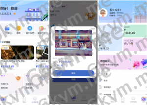 商业运营版本2025全新源码海外酒店抢单 刷单系统 多语言 酒店刷单 卡单连单 前端uinapp