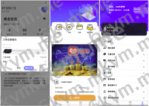 商业运营版本2025全新源码海外多语言 抢单商城 定制UI 海外刷单 商城抢单系统 订单自动匹配系统 叠加组 打针福利单 海外源码