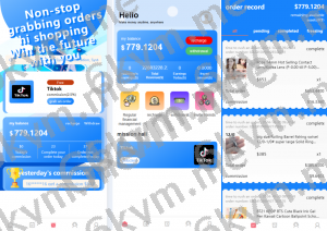 商业运营版本2025全新源码新版刷单 海外商城 多语言 商城刷单 奢侈品抢单 策略组 打针 定制UI PHP