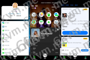 商业运营版本2025全新源码全新多语言 音乐抢单系统 派单连单卡单 实名认证 刷单系统 打针