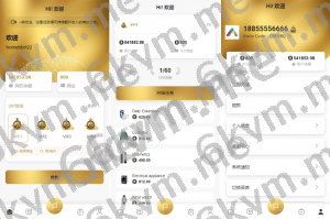 商业运营版本2025全新源码海外多语言 抢单刷单系统 连单卡单 刷单抢单源码 UI PHP