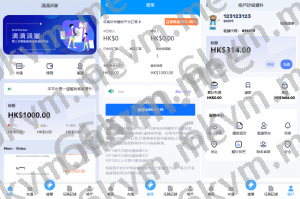 商业运营版本2025全新源码倒计时抢单 指定派单 连单卡单 滴滴派单抢单刷单系统 UI PHP