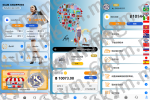 商业运营版本2025全新源码全新多语言 运营版海外刷单系统 抢单刷单 泰国刷单源码 UI