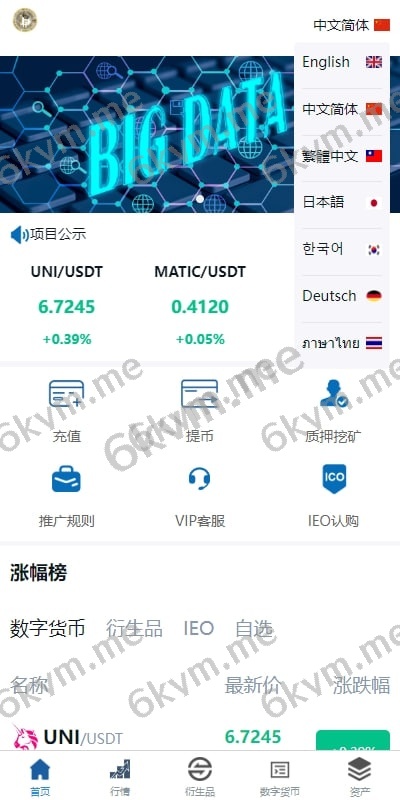 (推荐）新版UI多语言/交易所系统/虚拟币外汇交易/期权合约交易