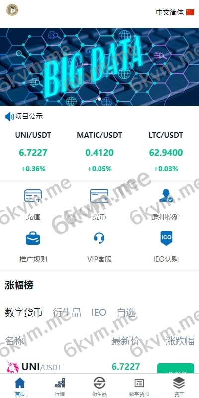 (推荐）新版UI多语言/交易所系统/虚拟币外汇交易/期权合约交易