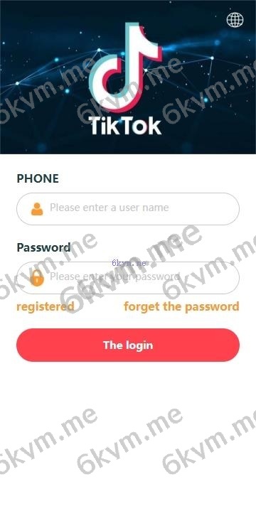 海外tiktok抢单刷单系统/前端uniapp/多语言刷单打针