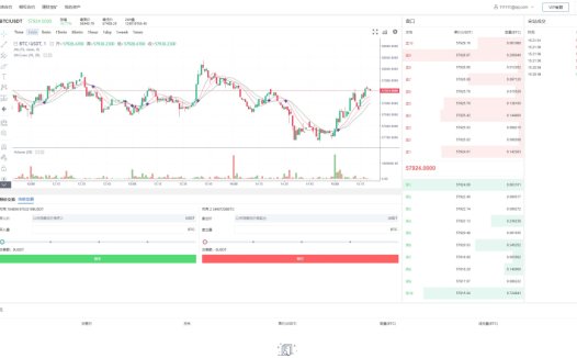 (推荐）新版UI多语言/交易所系统/虚拟币外汇交易/期权合约交易