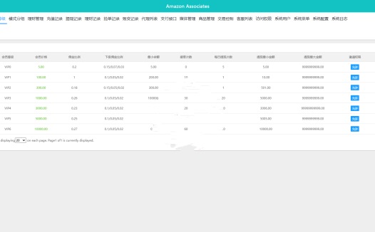 多语言定制tiktok抢单/海外tiktok刷单/分组/打针/前端vue – 玖福源码