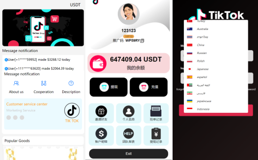 商业运营版本2025全新源码【海外多语言抢单商城】最新tiktok多语言海外刷单/抢单系统/订单自动匹配系统/连单卡单/海外源码